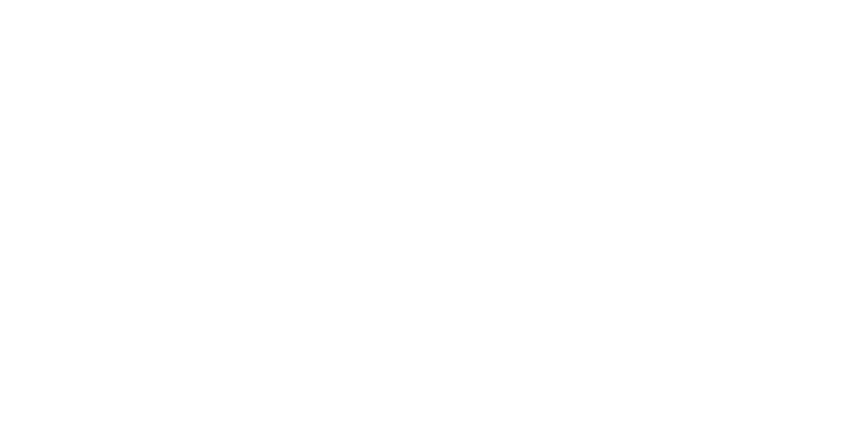 Two Blokes Filming Stuff Logo